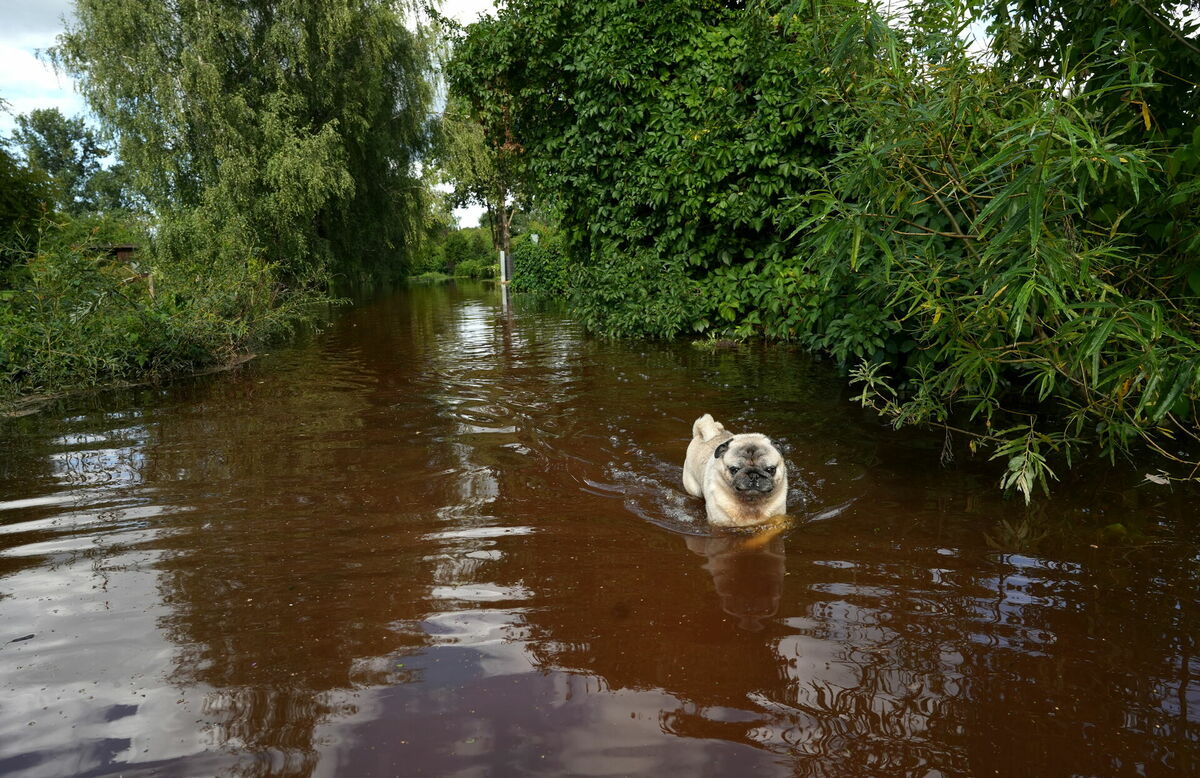 Foto: Evija Trifanova/LETA