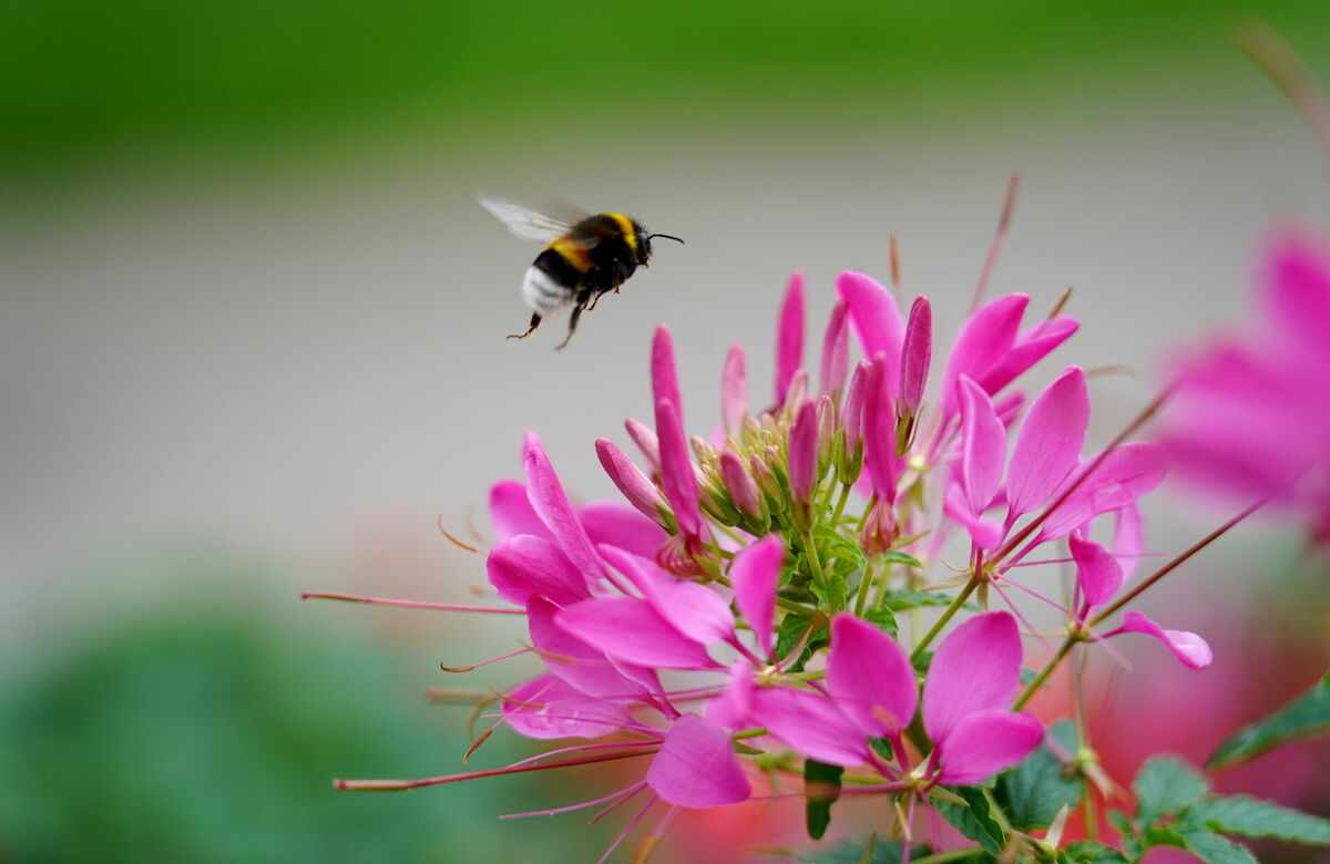 Foto: Zane Bitere/LETA