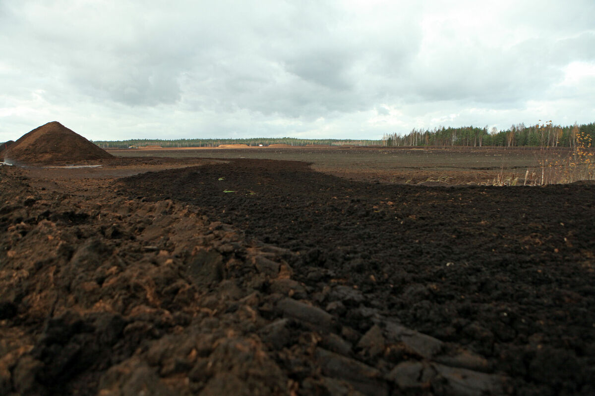 Foto: Edijs Pālens/ LETA