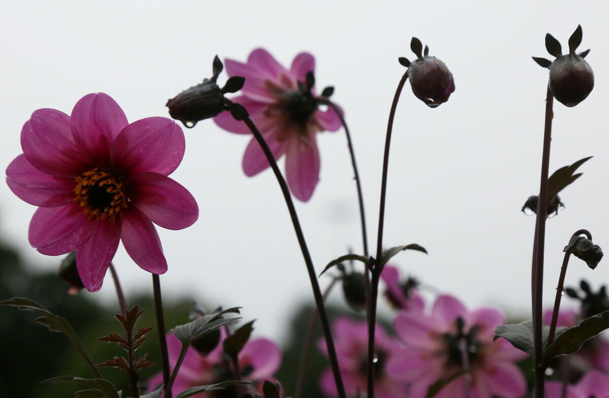 Foto: Edijs Pālens/LETA