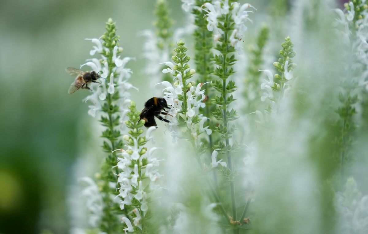 Foto: Zane Bitere/LETA