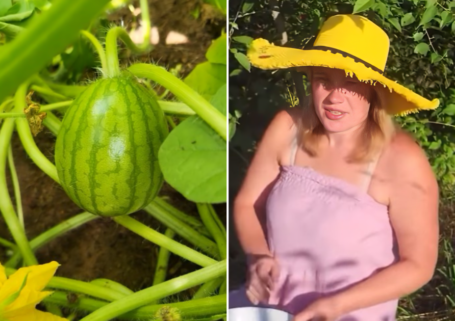 Foto: magone.burka/Instagram; ekrānuzņēmums no "Slavenības brīvsolī" 