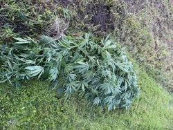 Foto: Valsts policija