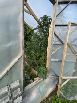 Foto: Valsts policija