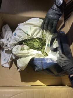 Foto: Valsts policija