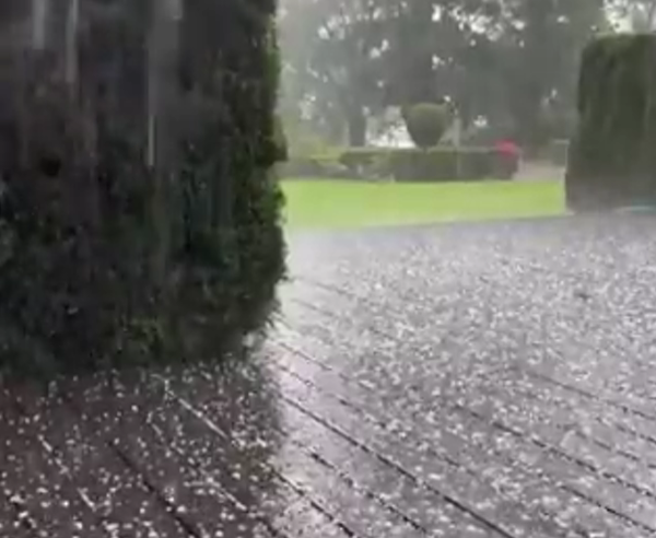 Foto: Ekrānuzņēmums no "X"