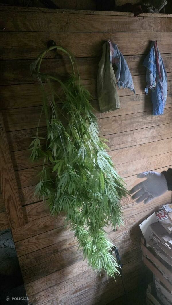 Foto: Valsts policija