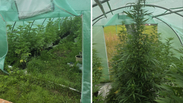 Foto: Valsts policija