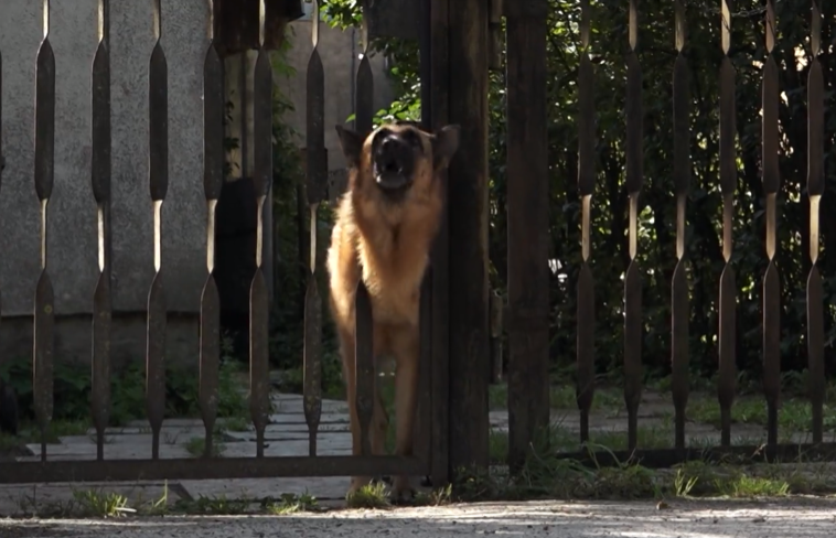 Foto: Ekrānšāviņš no sižeta