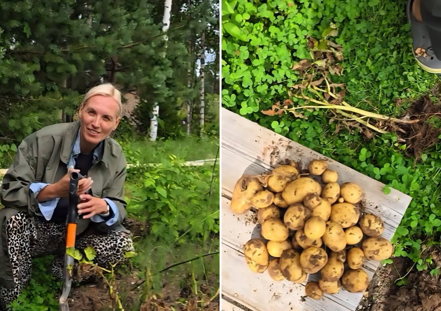  kristine_virsnite  and  villa_ape/Instagram