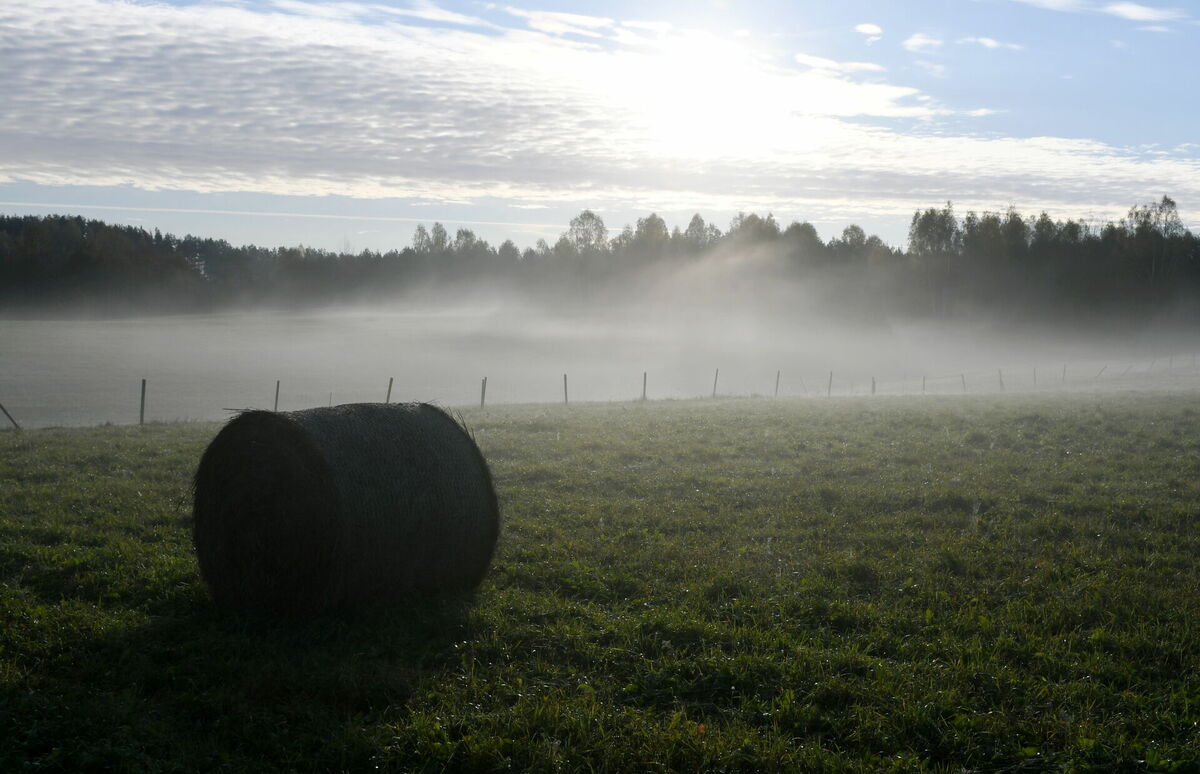 Foto: Ivars Soikāns/LETA
