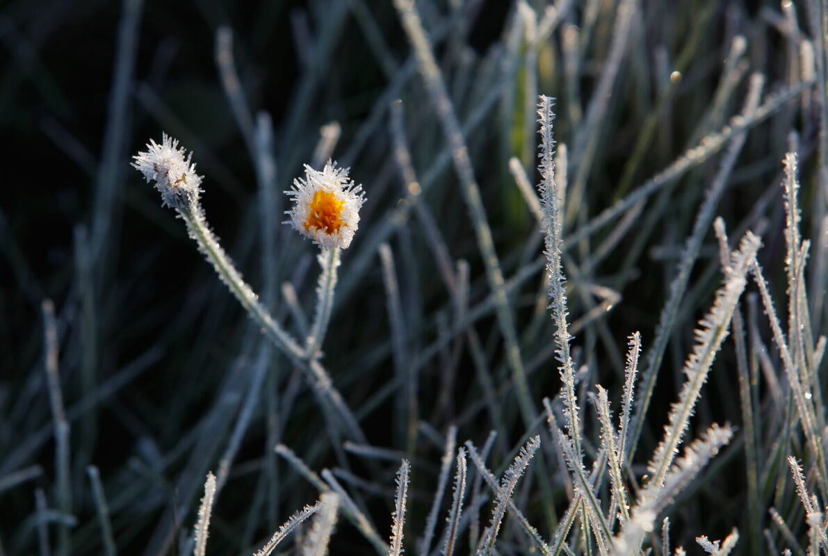 Foto: Una Kupruka/LETA