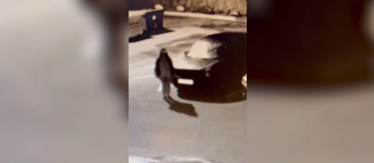 Foto: Valsts policija