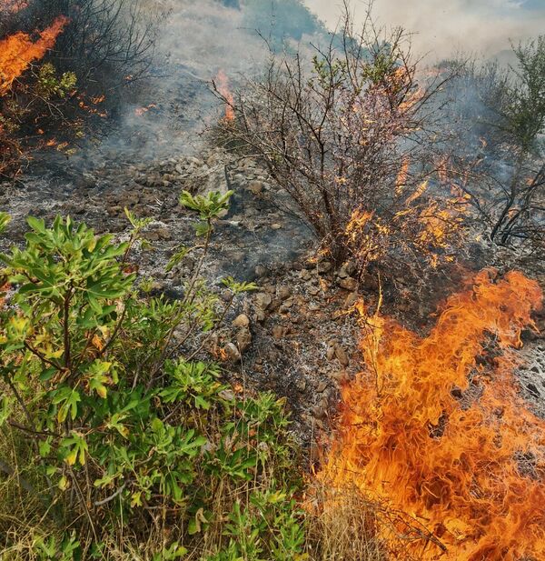Ceļot bez robežām!/Facebook