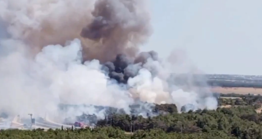 Foto: Ekrānšāviņš no X