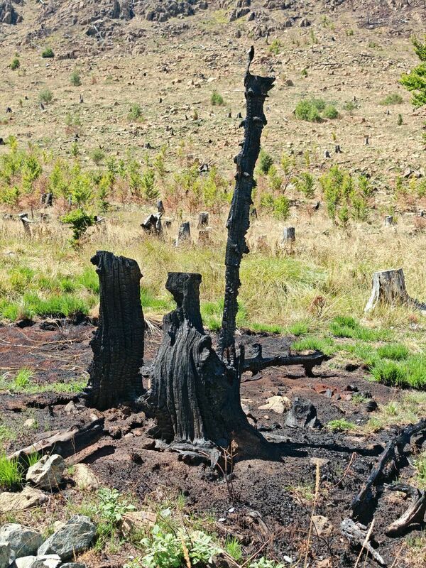 Ceļot bez robežām!/Facebook