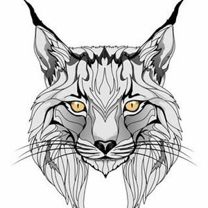 "Lūšu krogs" SIA "Klaase" kafejnīca - krogs