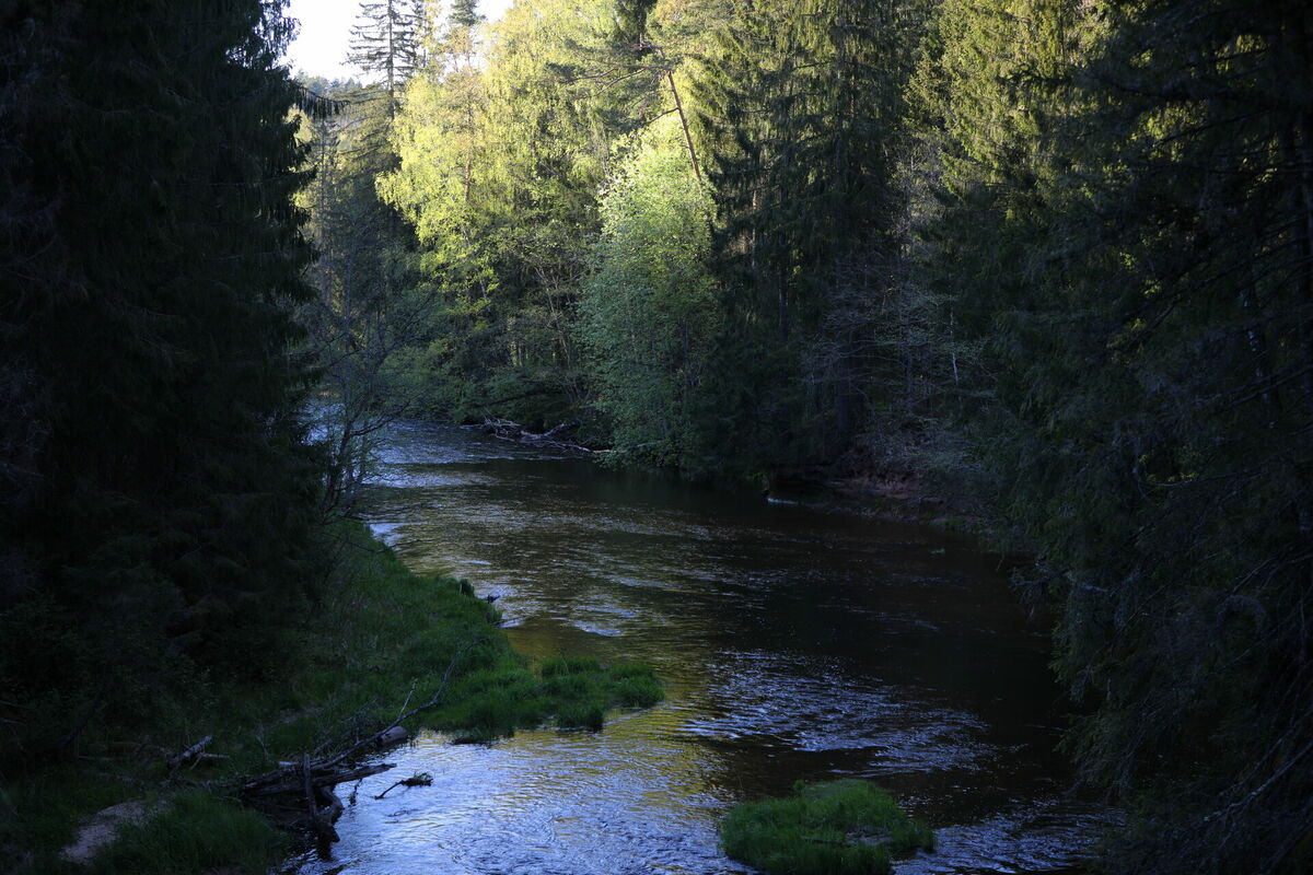 Foto: Evija Trifanova/LETA