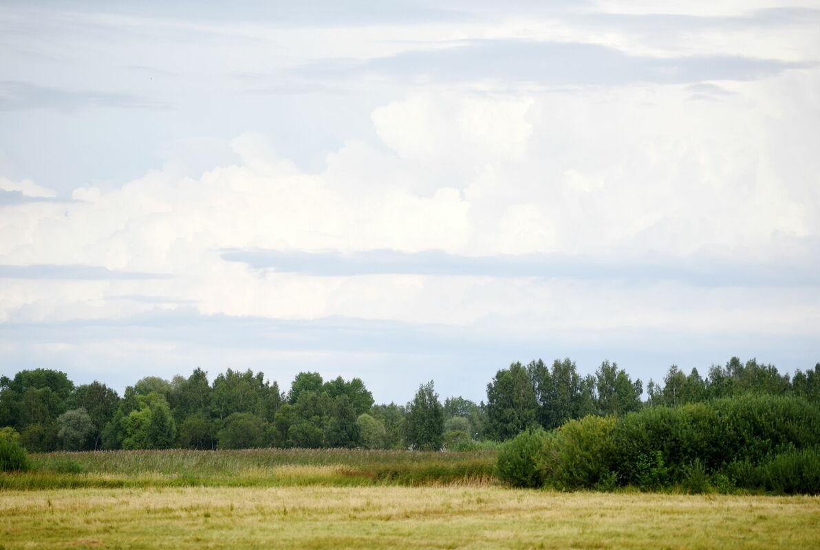 Foto: Zane Bitere/LETA