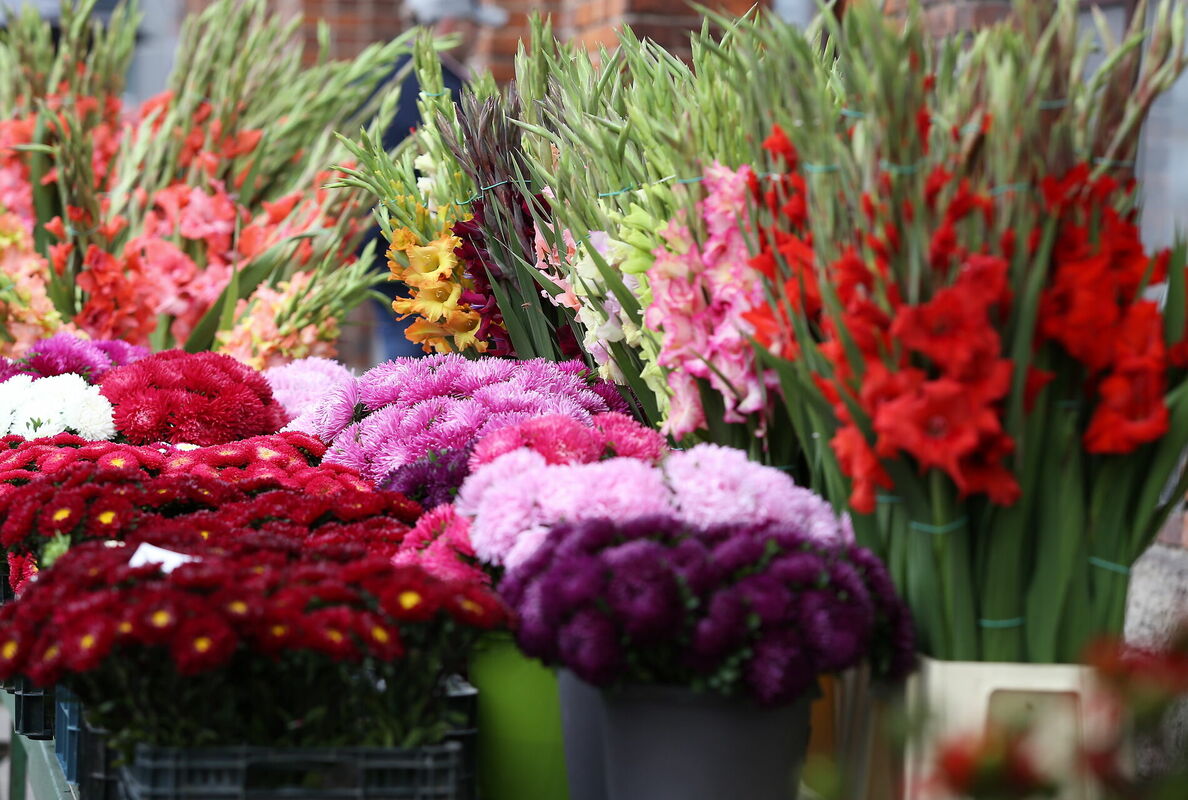 Foto: Evija Trifanova / LETA