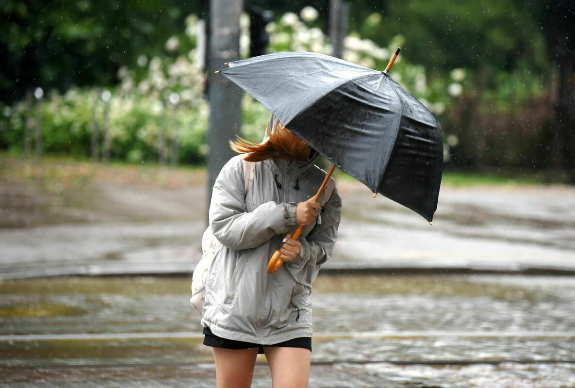 Foto: Zane Bitere/LETA