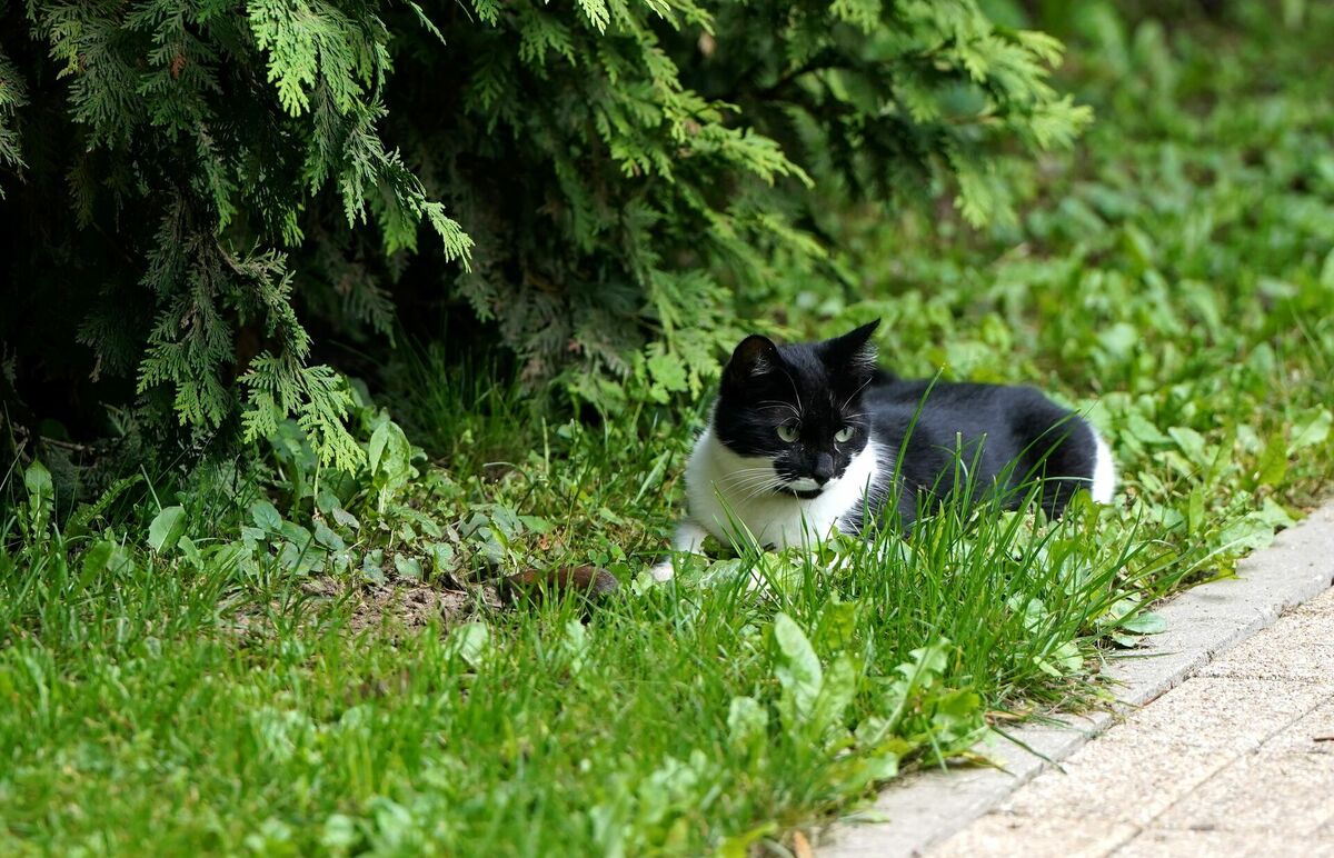 Foto: Paula Čurkste/LETA