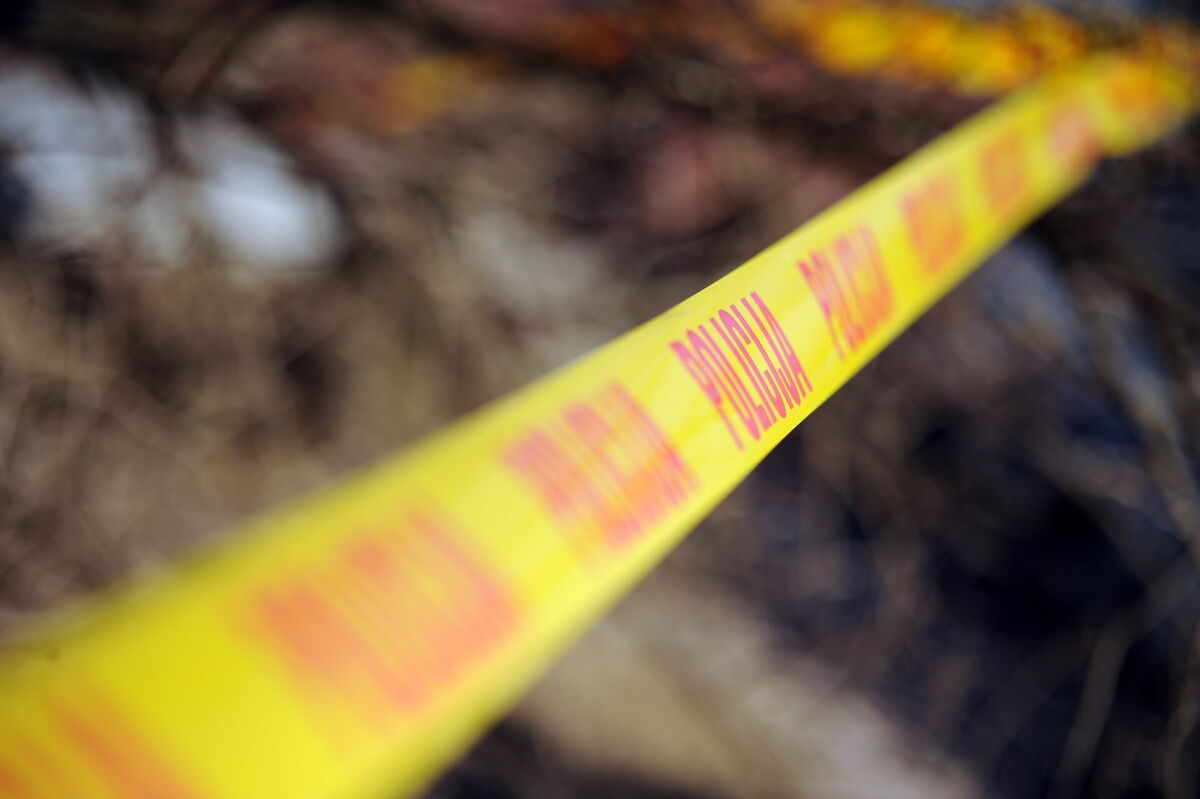 Foto: Edijs Pālens/LETA