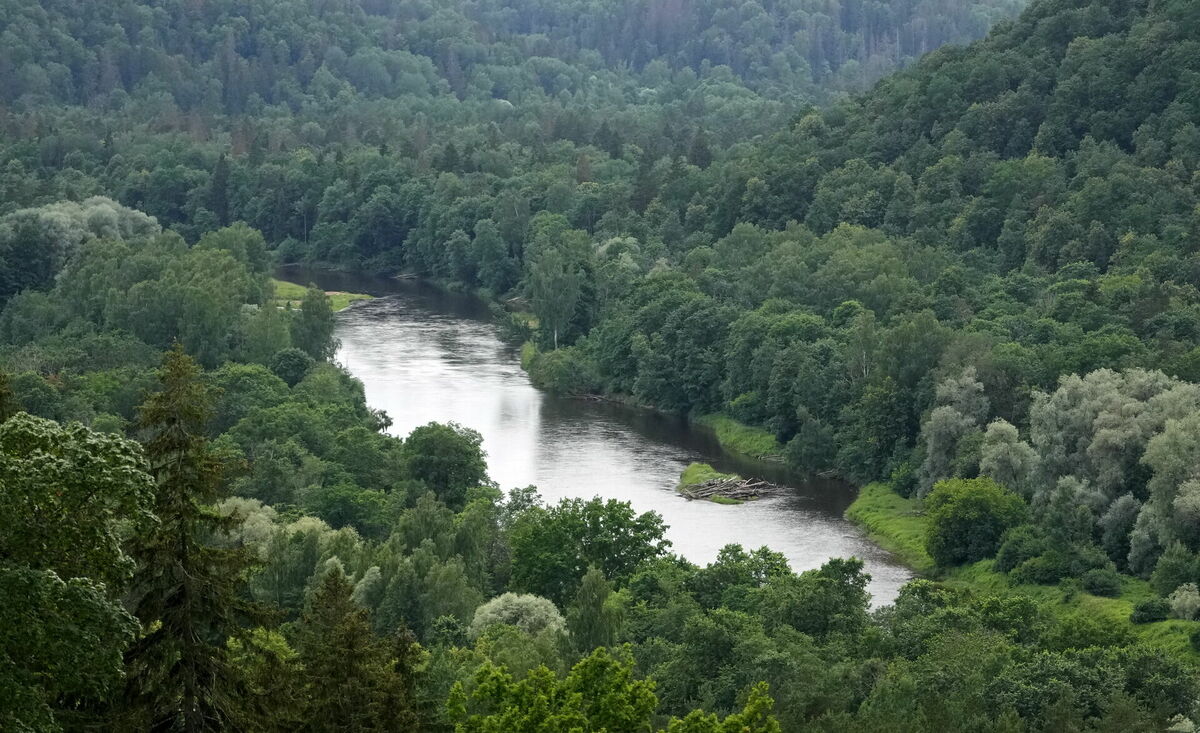 Foto: Paula Čurkste/LETA