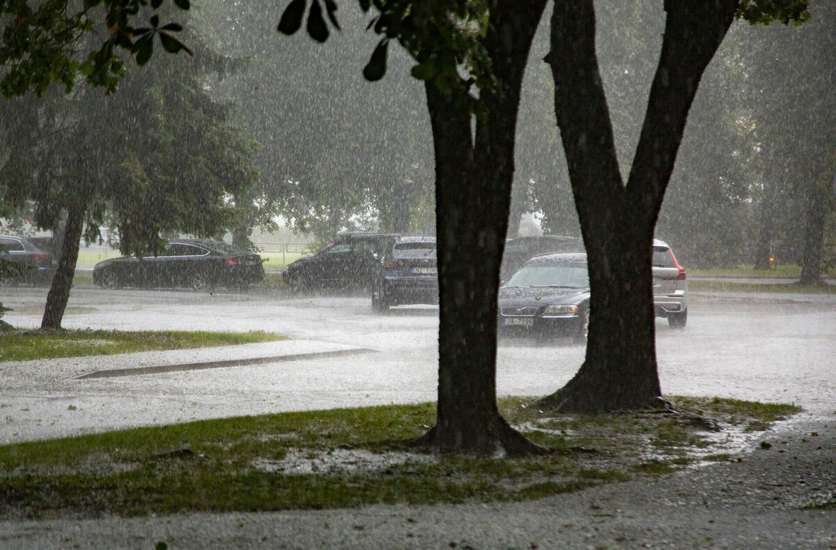 Foto: Edijs Pālens/LETA