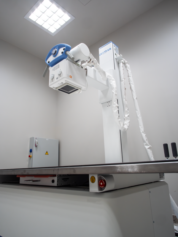 Foto: Latvijas Mikroķirurģijas centrs