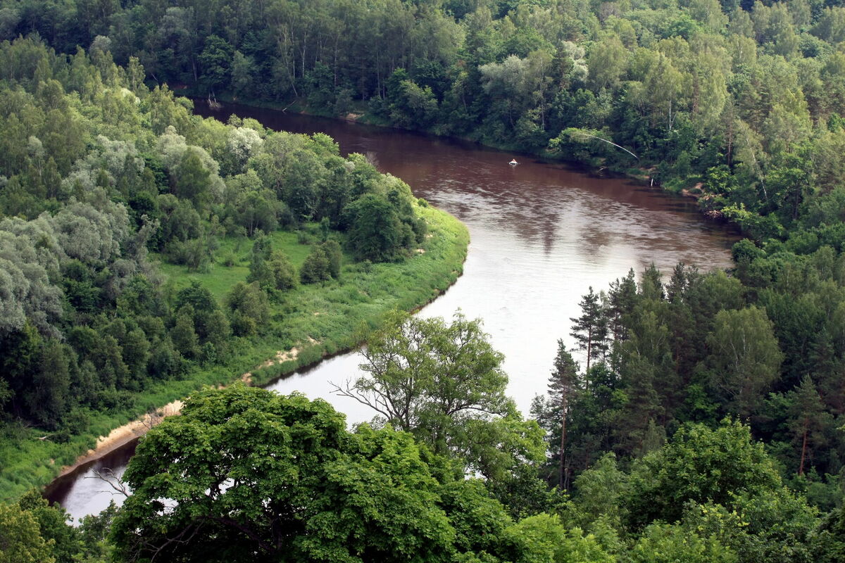 Gauja. Foto: Edijs Pālens/LETA