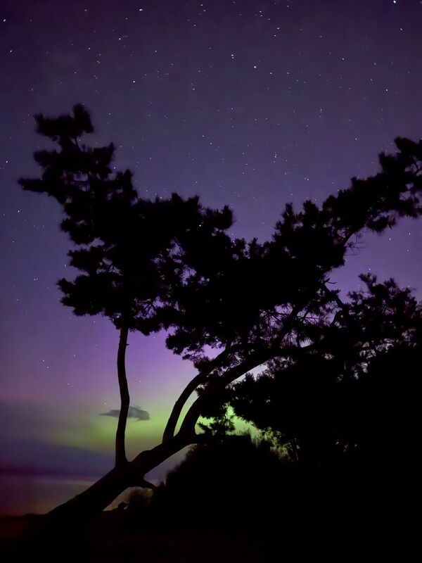 Foto: Linda Egle-Šrenka