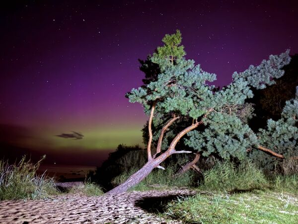 Foto: Linda Egle-Šrenka