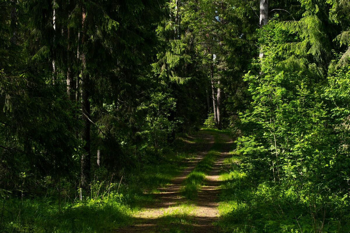 Foto: Unsplash