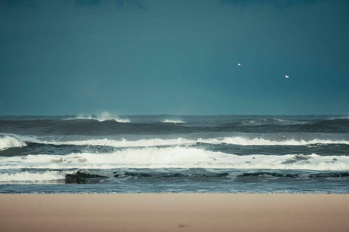Foto: Unsplash