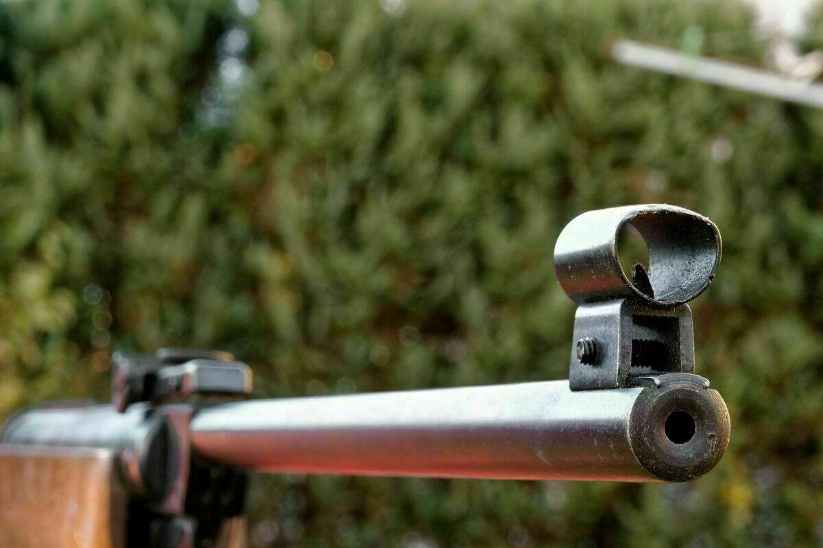 Par nelikumīgām medībām aiztur IeVP bijušo amatpersonu un robežsargu