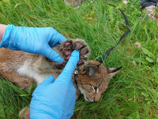 Foto: Karīna Lazdāne, Dabas aizsardzības pārvalde