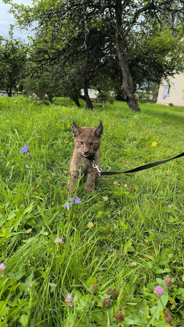 Foto: Karīna Lazdāne, Dabas aizsardzības pārvalde