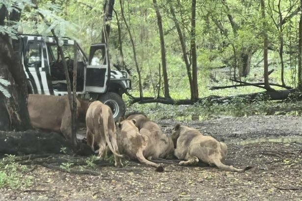 Foto: Ekrānuzņēmums no "X"