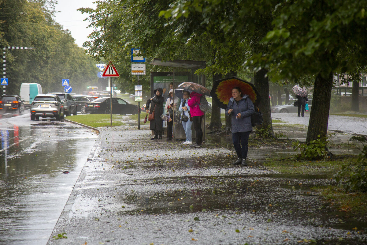 Foto: Edijs Pālens/LETA