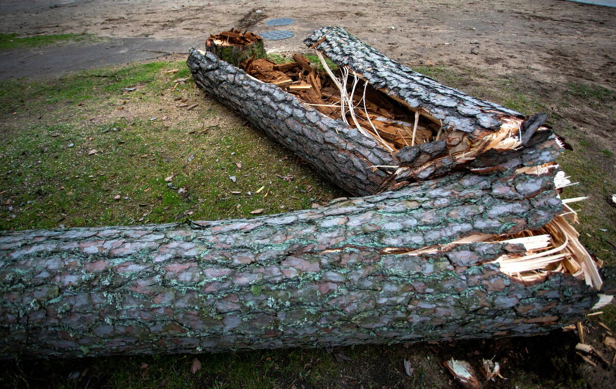 Foto: Edijs Pālens/LETA