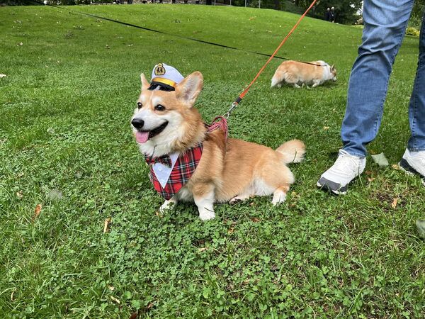 Korgiju pastaiga. Foto: "360 Ziņas"