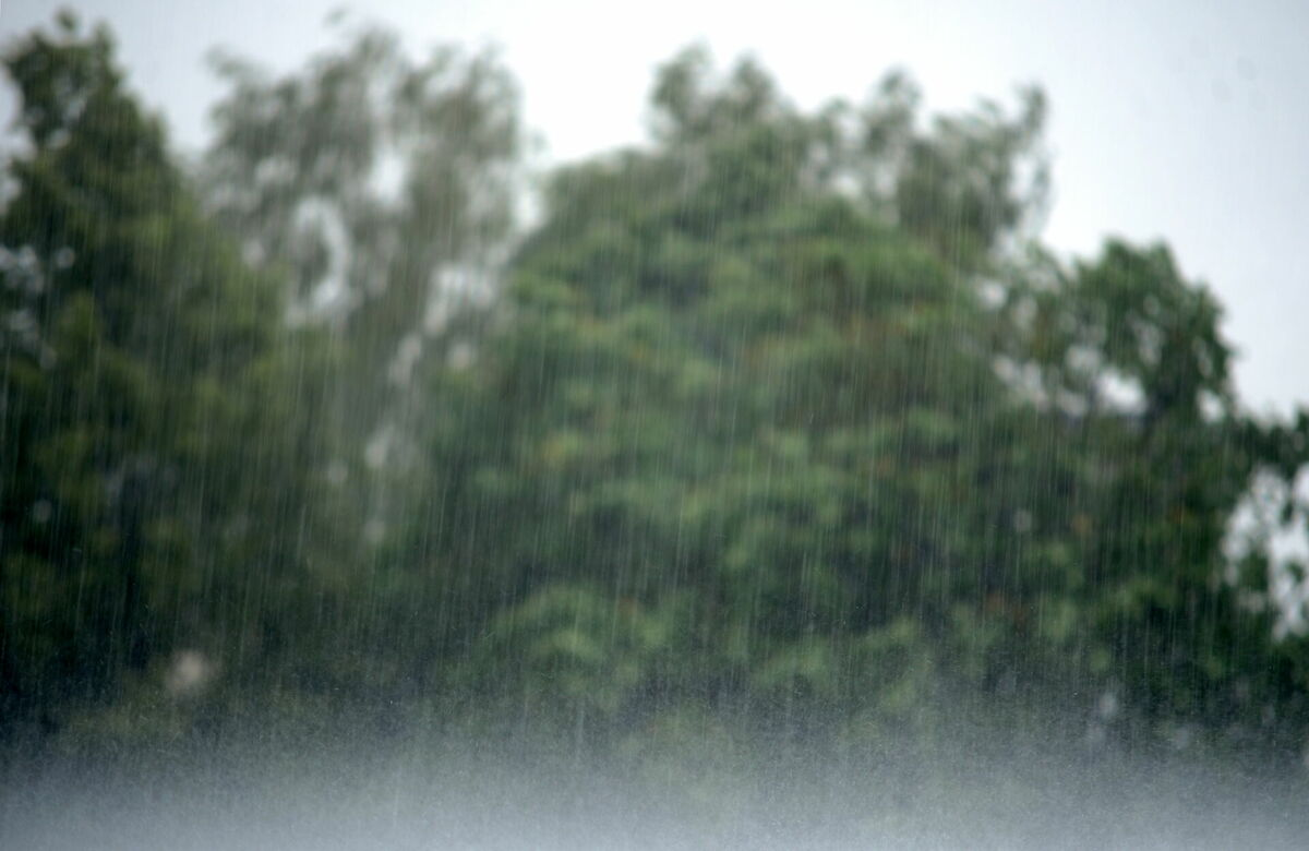 Foto: Edijs Pālens/LETA