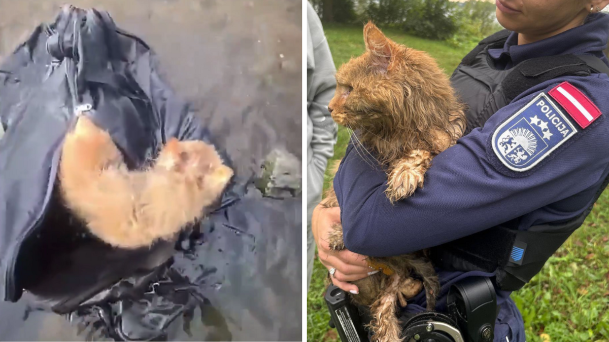 Foto: Valsts policija