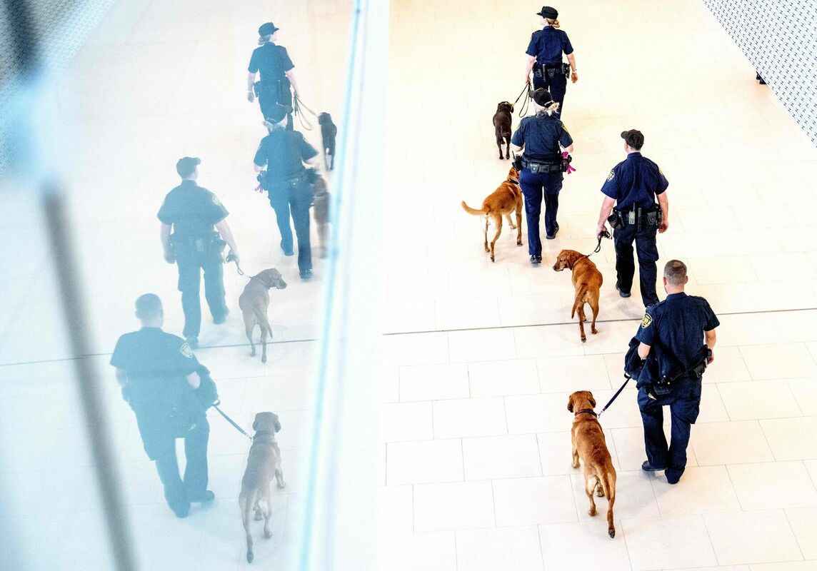 Vīne. Foto: Joe Klamar / AFP / Scanpix