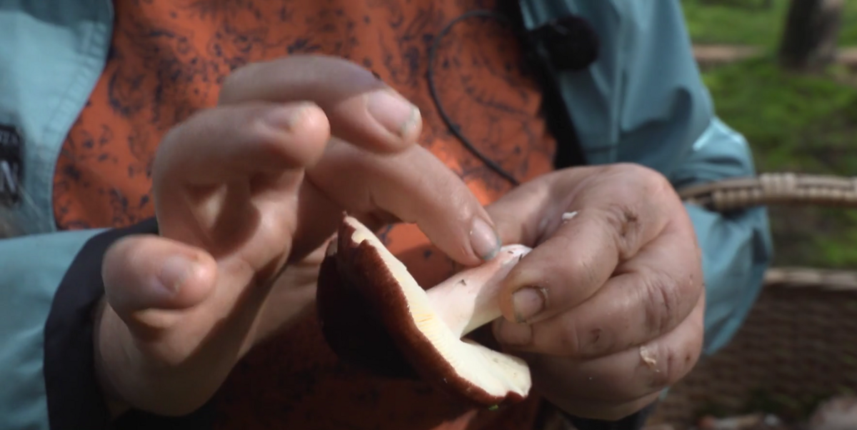 Foto: Ekrānuzņēmums no sižeta