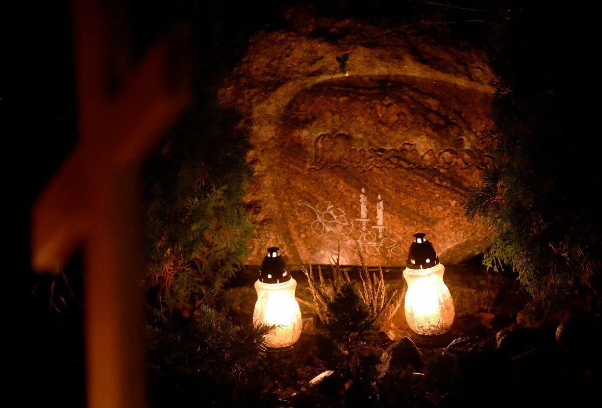 Kapi. Foto: Zane Bitere/LETA