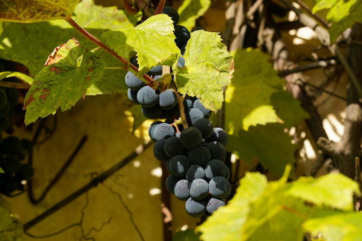 Foto: Evija Trifanova/ LETA