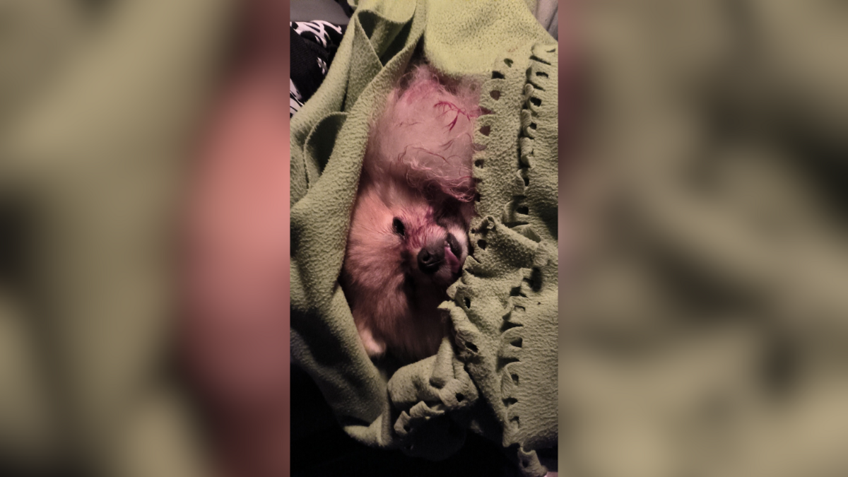 Foto: Anta Ligere/Facebook