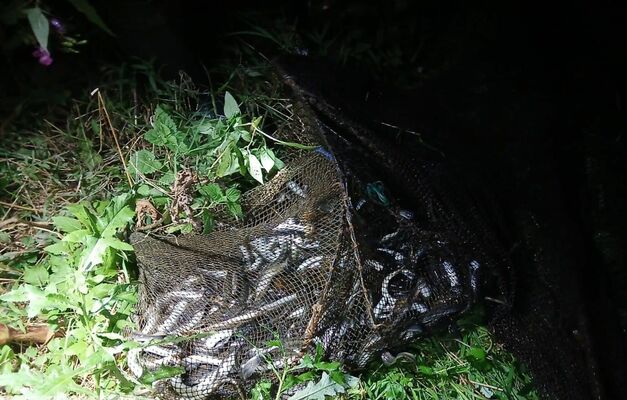 Foto: Valsts vides dienests